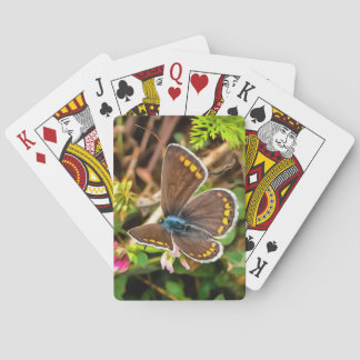 Common Blue Butterfly Polyommatus Icarus Painting Playing Cards