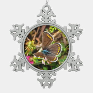 Common Blue Butterfly Polyommatus Icarus Painting Snowflake Pewter Christmas Ornament