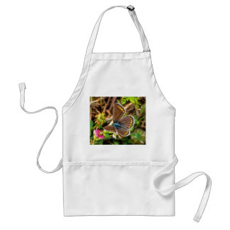 Common Blue Butterfly Polyommatus Icarus Painting Standard Apron