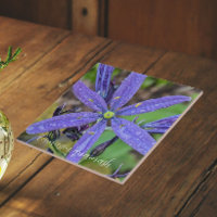 Common Blue Camas Floral