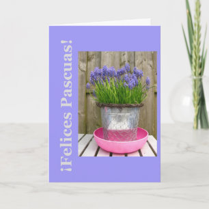 Common blue hyacints easter greeting - spanish holiday card