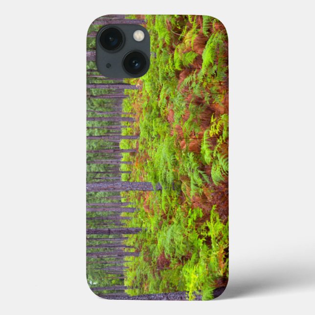 Common Bracken (Pteridium Aquilinum) Growing Case-Mate iPhone Case (Back)