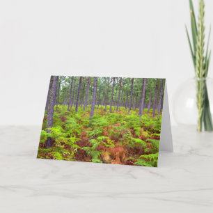 Common Bracken (Pteridium Aquilinum) Growing Holiday Card