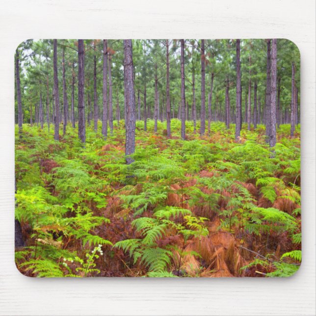 Common Bracken (Pteridium Aquilinum) Growing Mouse Mat (Front)
