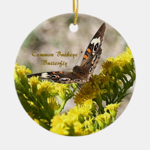 Common Buckey Butterfly Photo Ornament