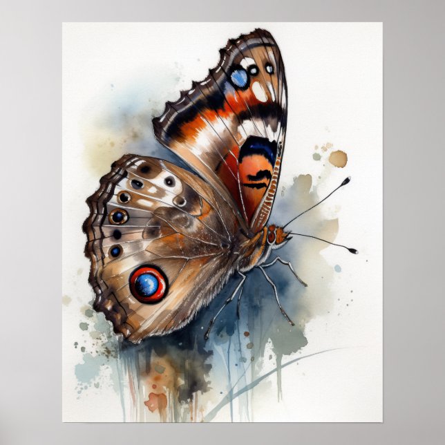 Common Buckeye Butterfly Art Print Poster (Front)