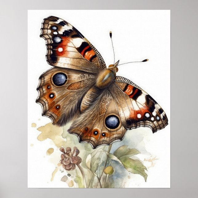 Common Buckeye Butterfly Art Print Poster (Front)