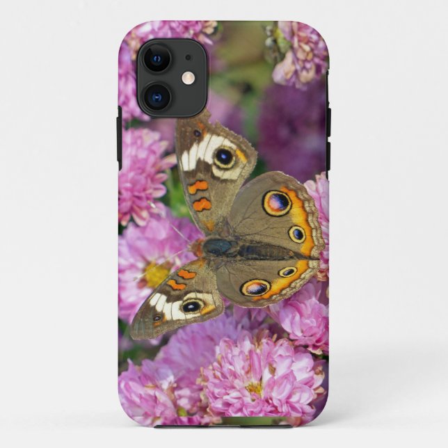Common Buckeye Butterfly Case-Mate iPhone Case (Back)