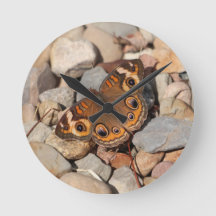 Common Buckeye Butterfly on River Rock Wall Clock