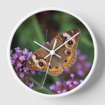 Common Buckeye Butterfly on Verbena Wall Clock