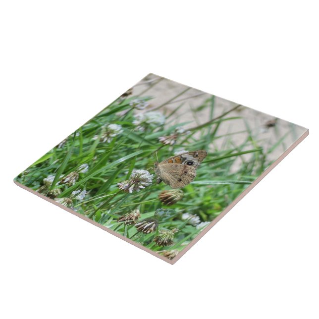 Common Buckeye Butterfly Tile (Side)