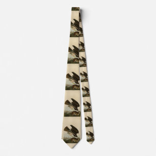 Common Buzzard - from Audubon's Birds of America Tie