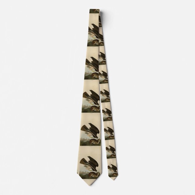 Common Buzzard - from Audubon's Birds of America Tie (Front)