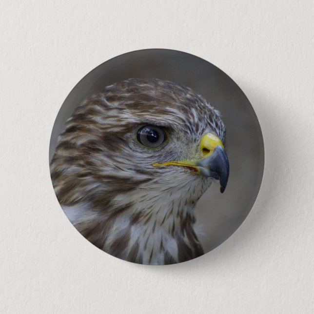 Common Buzzard Portrait 6 Cm Round Badge (Front)