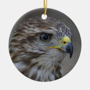 Common Buzzard Portrait Ceramic Tree Decoration
