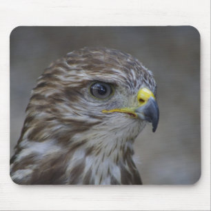 Common Buzzard Portrait Mouse Mat