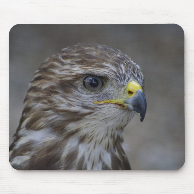 Common Buzzard Portrait Mouse Mat (Front)