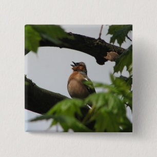 Common Chaffinch 15 Cm Square Badge