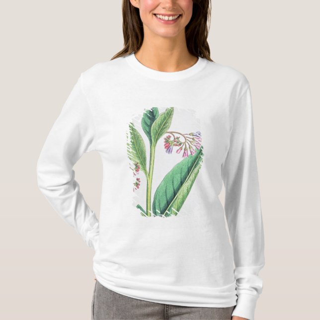 Common Comfrey, plate MCXVI, c.1800 T-Shirt (Front)