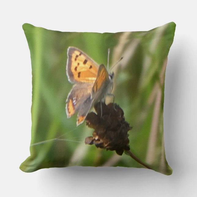 Common Copper Butterfly on Flower Bud Throw Pillow (Front)