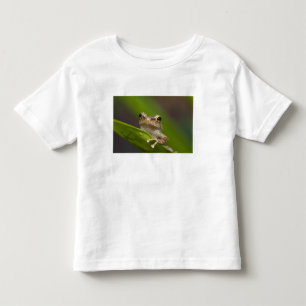Common coqui, Eleutherodactylus coqui Toddler T-Shirt