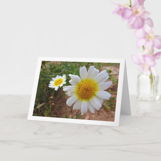 Common Daisies Portrait Card (Orchid)