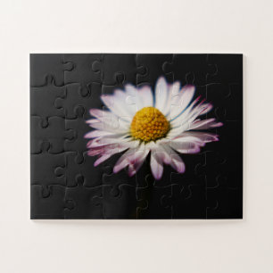 Common Daisy 11x14 30pc jpcn Jigsaw Puzzle