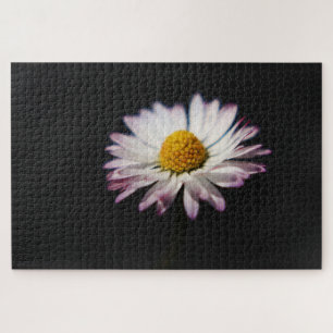 Common Daisy 20x30 1014pc jpcna Jigsaw Puzzle