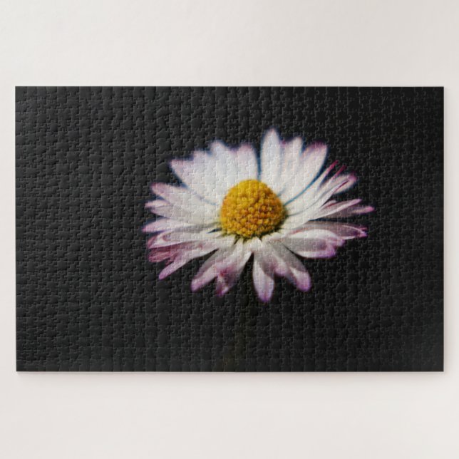 Common Daisy 20x30 1014pc jpcna Jigsaw Puzzle (Horizontal)