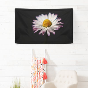 Common Daisy bnrcn Banner