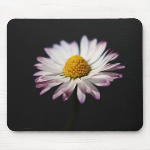 Common Daisy mpcnm Mouse Mat