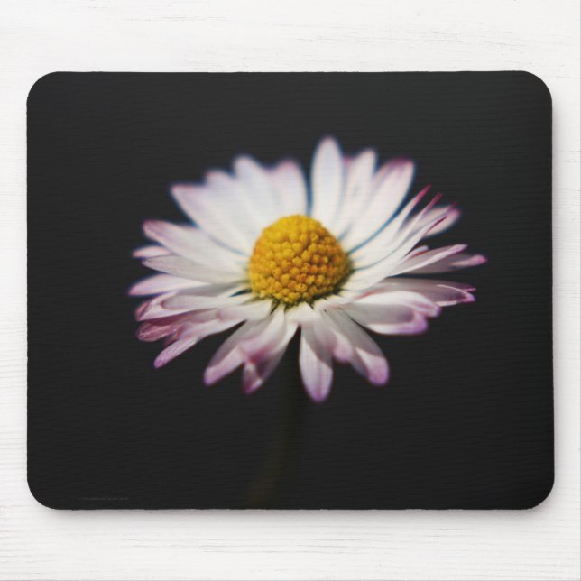 Common Daisy mpcnm Mouse Mat (Front)