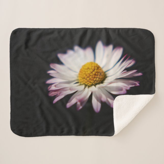 Common Daisy sbcna Sherpa Blanket (Front (Horizontal))