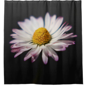Common Daisy sccnm Shower Curtain