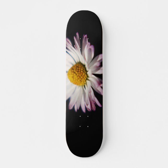 Common Daisy sdcna Skateboard (Front)