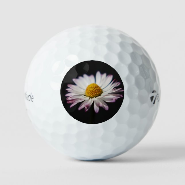 Common Daisy tmtp5 gbcna Golf Balls (Front)