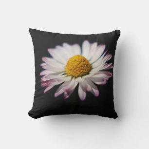Common Daisy tpcn Cushion