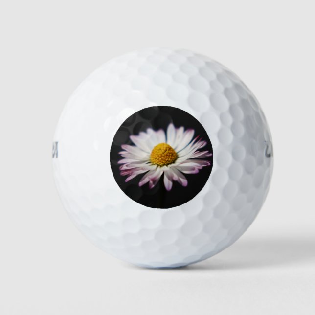 Common Daisy wu gbcna Golf Balls (Front)