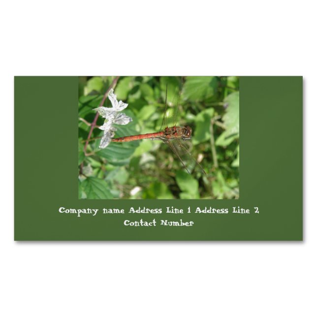 Common Darter Dragonfly Custom Business Cards (Front)