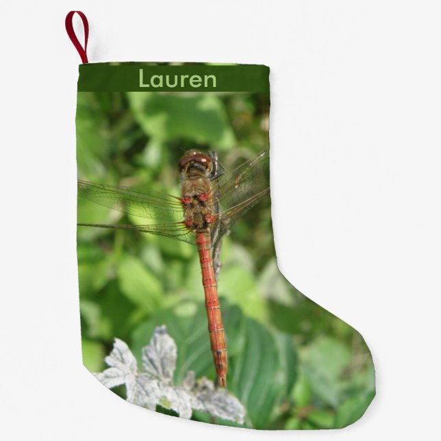 Common Darter Dragonfly Custom Christmas Stocking (Front)