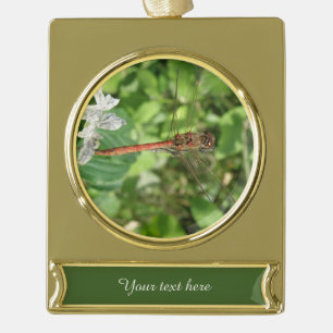 Common Darter Dragonfly Custom Ornament