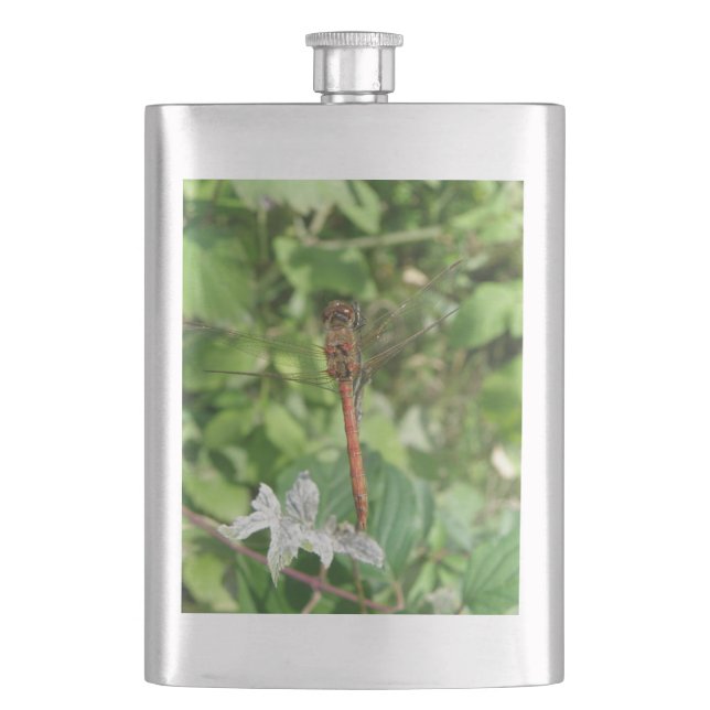 Common Darter Dragonfly Flask (Front)