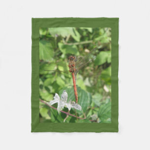 Common Darter Dragonfly Fleece Blanket