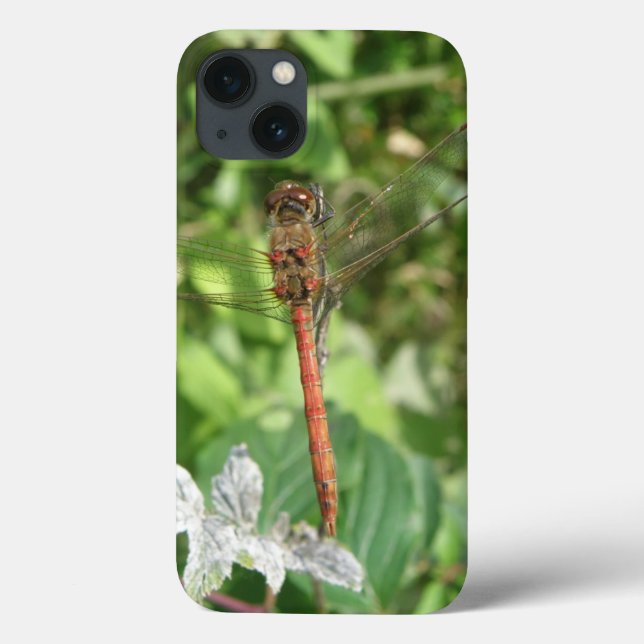 Common Darter Dragonfly iPad Case (Back)