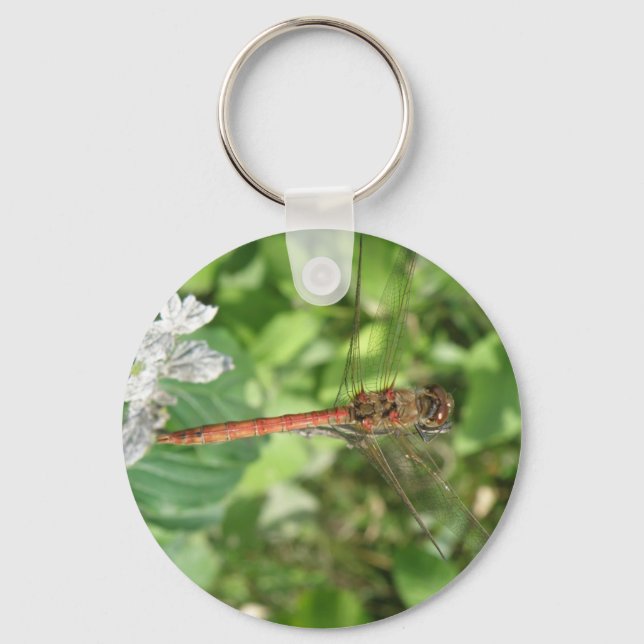 Common Darter Dragonfly Keychain (Front)