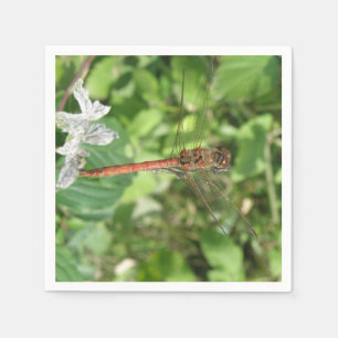 Common Darter Dragonfly Napkins