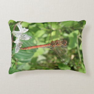 Common Darter Dragonfly Pillow