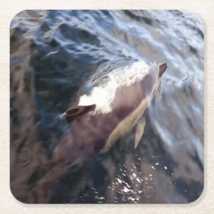 Common Dolphin Breaching Surface Ocean Movement  Square Paper Coaster