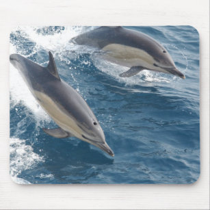 Common Dolphin Mouse Mat