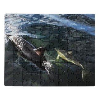 Common Dolphin Mum and Baby Acrylic Jigsaw Puzzle
